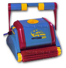 Dolphin 2001