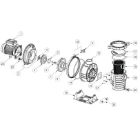 Pièces détachées Pompe ULTRAFLOW (Plus) (PENTAIR, STA-RITE)