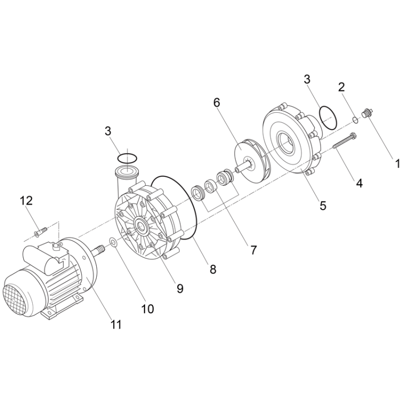 Pièces détachées Pompe BADU 21-40 (SPECK)