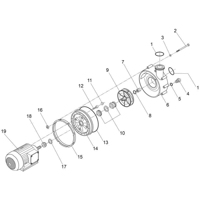 Pièces détachées Pompe BADU 21-60 (SPECK)