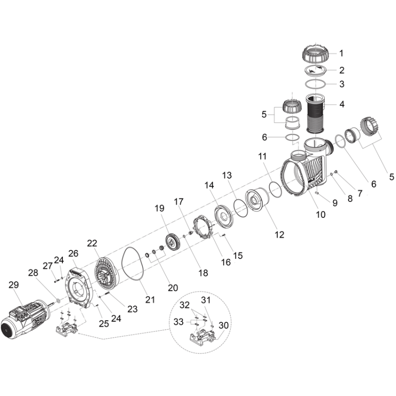 Pièces détachées Pompe BADU 90 (PRIME) ECO MOTION (SPECK)