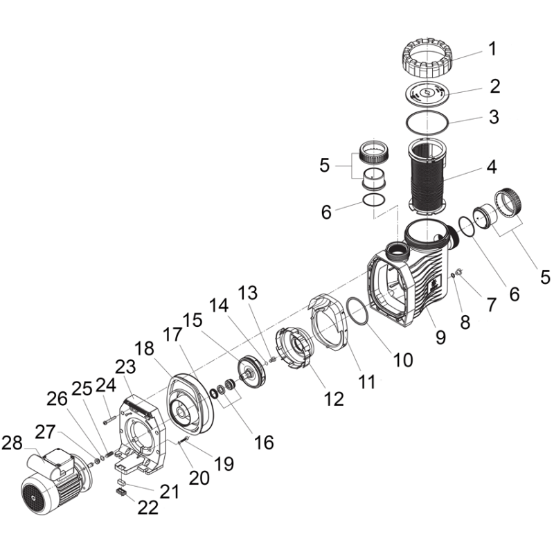 Pièces détachées Pompe BADU GAMMA (SPECK)