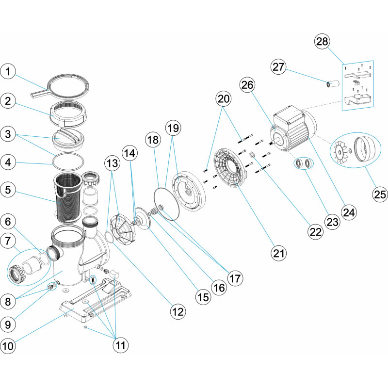Pièces détachées Pompe MARATHON (ASTRALPOOL)
