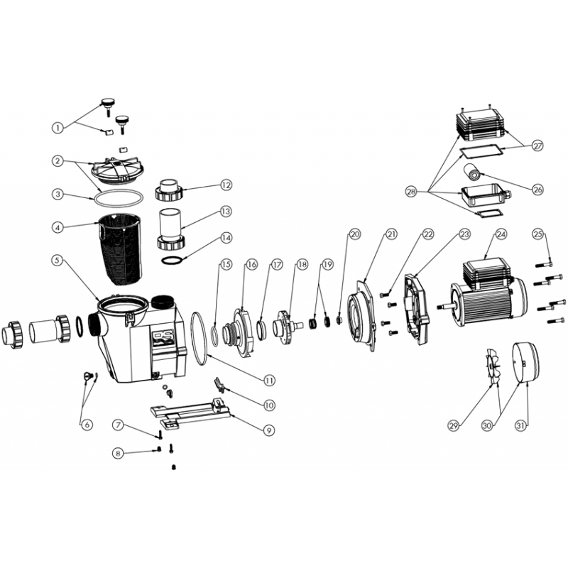Pièces détachées Pompe RS II DI (HAYWARD)