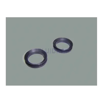 Joint V-Rings Va 2.5 - 3 Hp mono (x 2) pompe Swimflo HGS