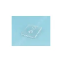 Cache plastique transparent pour pompe DULCO (Syclope)