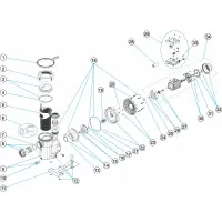 Pièces détachées pour Pompe ASTRAL VICTORIA