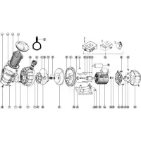 Pièces détachées pour Pompe FLIPPER 2NS