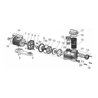 Pièces détachées pour Pompe ONGA 800E